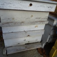 Пчелни семейства с кошери,220 лв. , Пловдив, снимка 1 - За пчели - 44466887