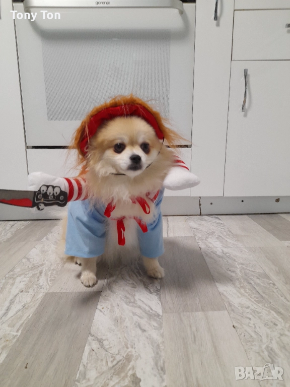 Дрехи за куче , снимка 1