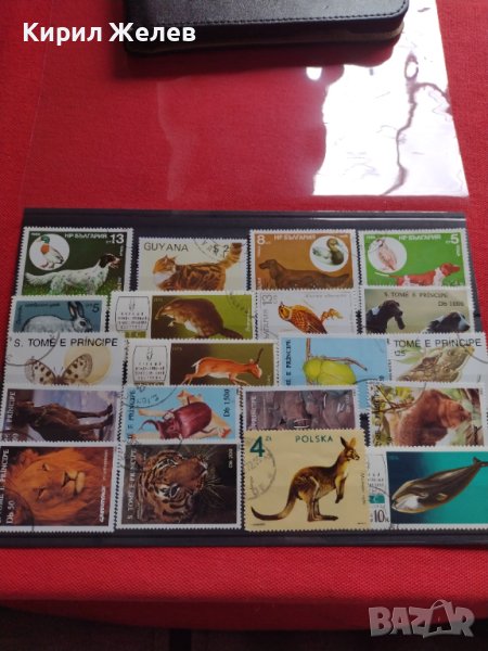 Пощенски марки смесени от цял свят ЖИВОТНИ за КОЛЕКЦИЯ 22615, снимка 1