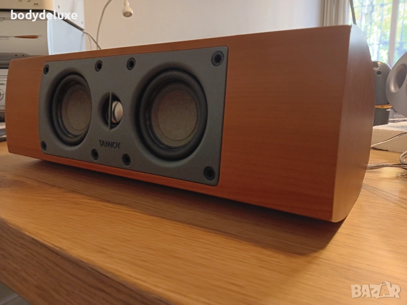 TANNOY двулентов център , снимка 1