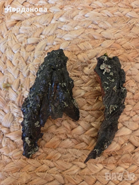 Авторски обици , снимка 1