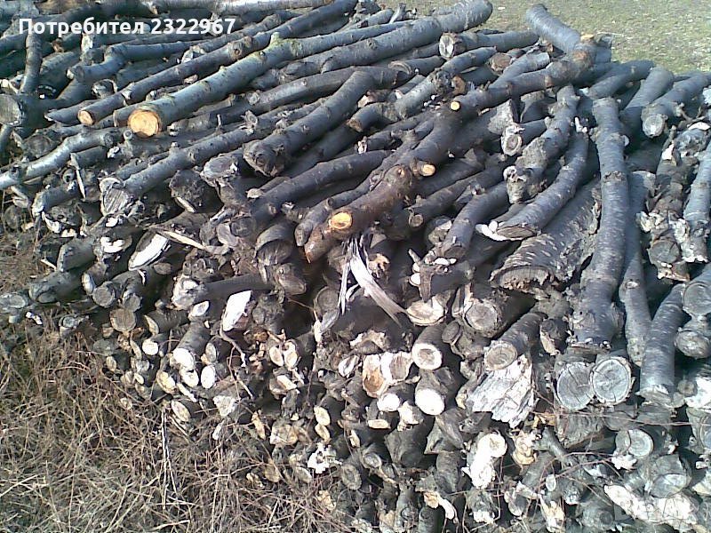 дърва от череша за горене , снимка 1