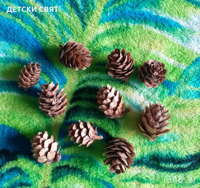 Мини шишарки - 50 бр., снимка 1