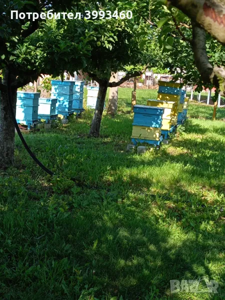 Кошери за пчели , снимка 1