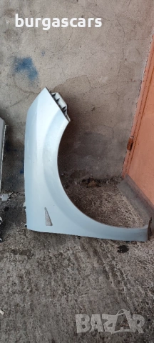 Калник ляв десен Renault Scenic II, снимка 3 - Части - 54228548