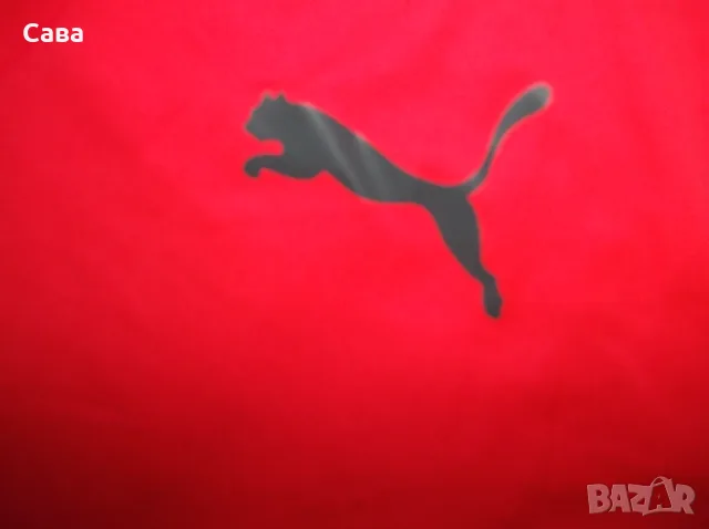 Тениски PUMA, ADIDAS  мъжки,2-3ХЛ, снимка 3 - Тениски - 55849027