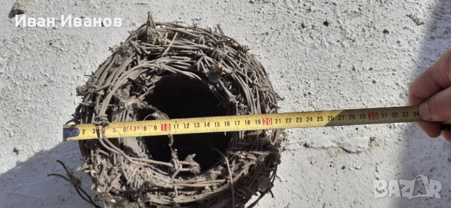 Бодлива тел , снимка 3 - Огради и мрежи - 54228681