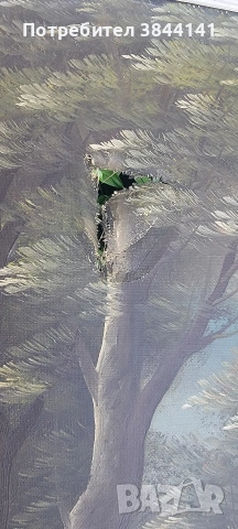 Картина с рамка - платно 84/64, снимка 2 - Антикварни и старинни предмети - 54096966