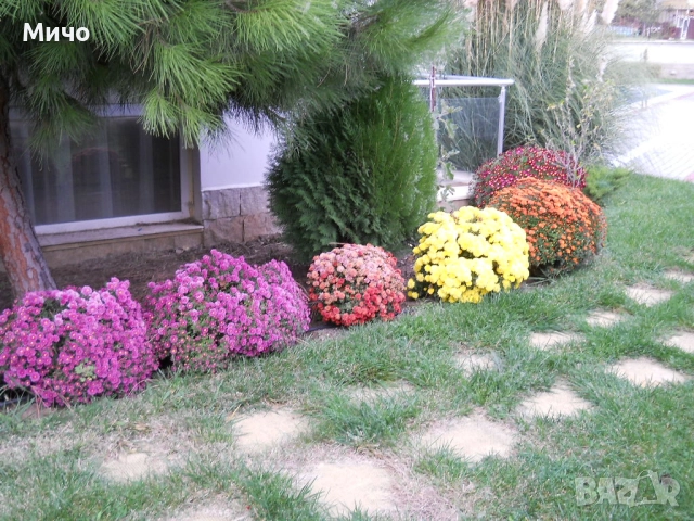 Тристаен апартамент 131 кв.м. Свети Влас под наем, снимка 3 - Апартаменти - 52800723