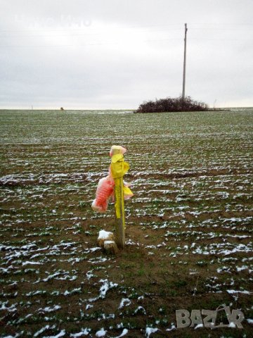 с. Близнаци - земя 3.01дка, снимка 2 - Земеделска земя - 38726213