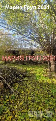  ✨ ДВУЕТАЖНА ТУХЛЕНА КЪЩА С ГАРАЖ И ГОЛЯМ ДВОР В С. ГАРВАНОВО, ОБЛАСТ ХАСКОВО ✨, снимка 8 - Къщи - 56007628
