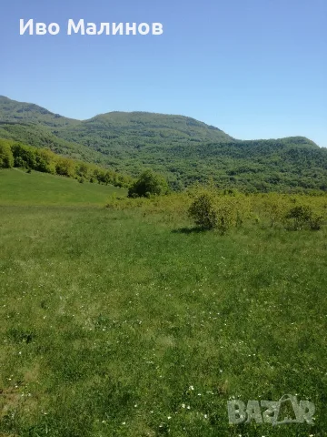 продавам два имота в село Лакатник , снимка 2 - Земеделска земя - 55769447