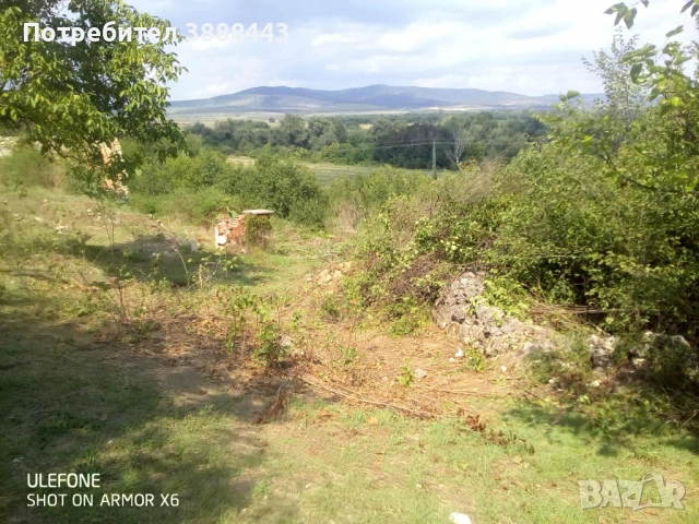 Празно дворно място , снимка 4 - Парцели - 51522743