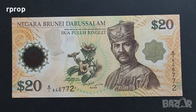 Бруней. 
2007 година.
 20 рингит. 
Юбилейна. Рядка.
Полимер.
 Нова.
UNC.