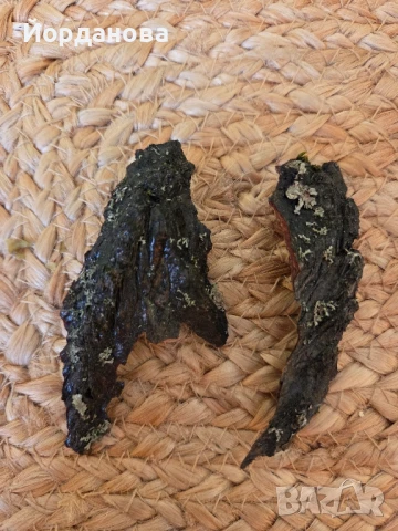 Авторски обици 