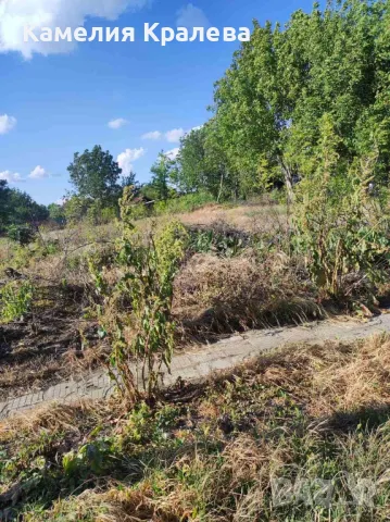 с.Селановци Продавам урегулиран парцел, снимка 7 - Парцели - 47039471