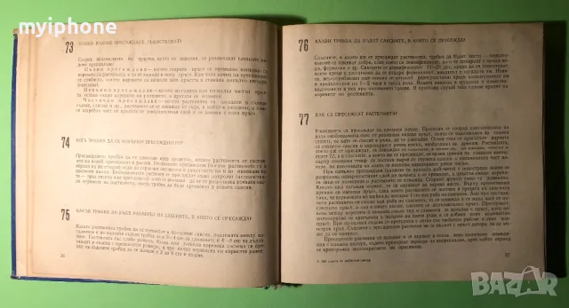 Стара Книга 599 Съвета за Любителя Цветар, снимка 7 - Специализирана литература - 49203115