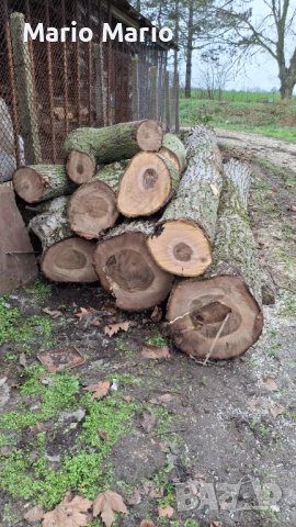 Орехова дървесина , снимка 8 - Други - 52591216