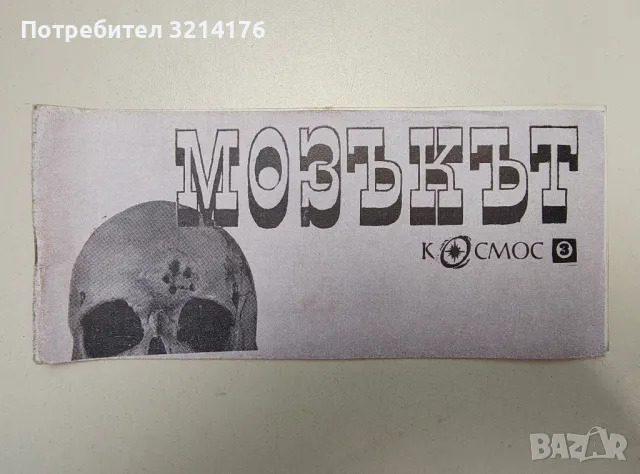 Мозъкът - Светослав Славчев