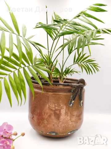 Голямо холандско медно , ковано котле, снимка 4 - Антикварни и старинни предмети - 51570392