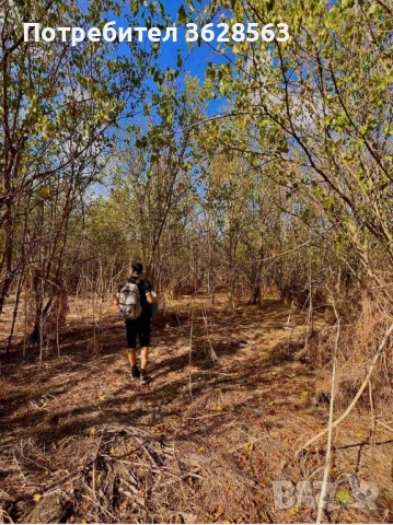 Парцел в село Захари Стояново, област Добрич, снимка 2 - Парцели - 51865292