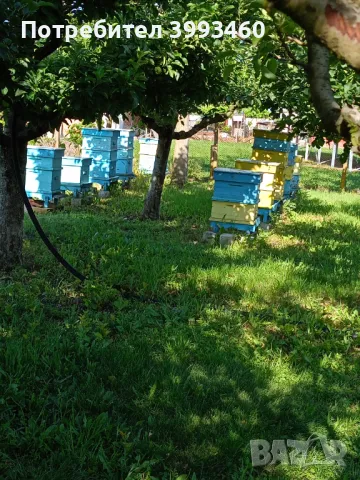Кошери за пчели , снимка 1