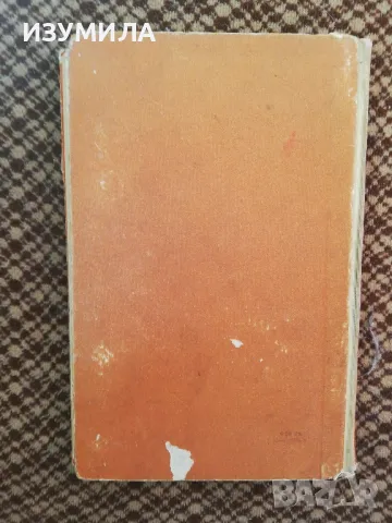 Синята птица - Ана Юрген, снимка 3 - Художествена литература - 48820281