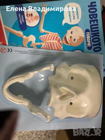 Детски игри и модел на човешкото тяло, снимка 5 - Образователни игри - 52663534