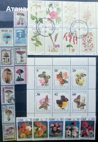 По 5 € за всяка страница Г.Ф., с пощ. марки/ безпл. доставка /