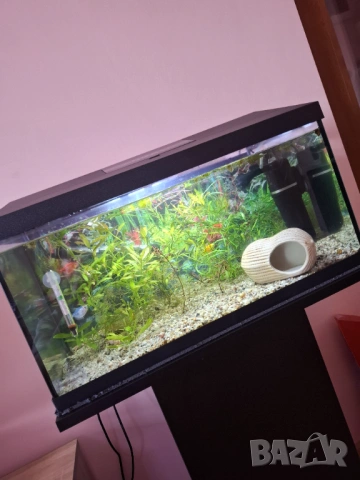 Aквариум AquaEL SET LEDDY DAY&NIGHT 54 литра