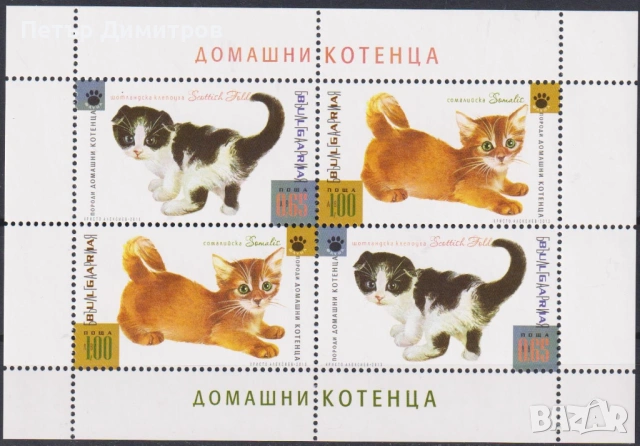 Чист блок Фауна Домашни Котки 2013 от България