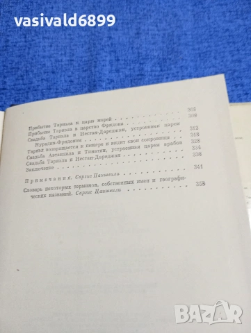 Шота Руставели - Витязът в тигрова кожа , снимка 8 - Художествена литература - 54085910