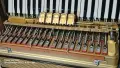 96 баса Hohner Lucia 3, снимка 5
