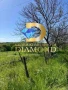 Парцел в село Стамболийски, обл. Хасково, снимка 5
