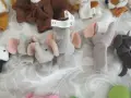 Кукли за театър на пръсти, снимка 9