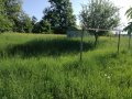 Косене на трева, почистване на дворове от капини, кастрене на дървета, снимка 10