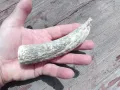 Рог от елен, снимка 4