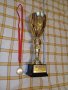 КУПА 2-РО МЯСТО ЯЗ. КОПРИНКА , снимка 4