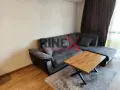 Двустаен апартамент под наем Христо Смирненски, снимка 1