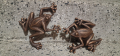 Лот масивни чугунени жаби, 660гр, снимка 1 - Градински мебели, декорация  - 31659252