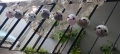 Ръчна изработка . Агънца , плетени на една кука , снимка 9