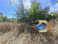 Едноетажна къща в село Княжевско, общ. Опан, снимка 11