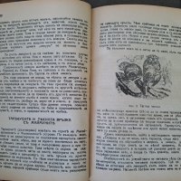 Стара книга Произходъ на човека Проф.М.А.Гремяцки, снимка 3 - Антикварни и старинни предмети - 42402753