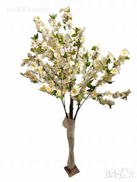 Декоративно дръвче, черешов цвят, 170см, снимка 1