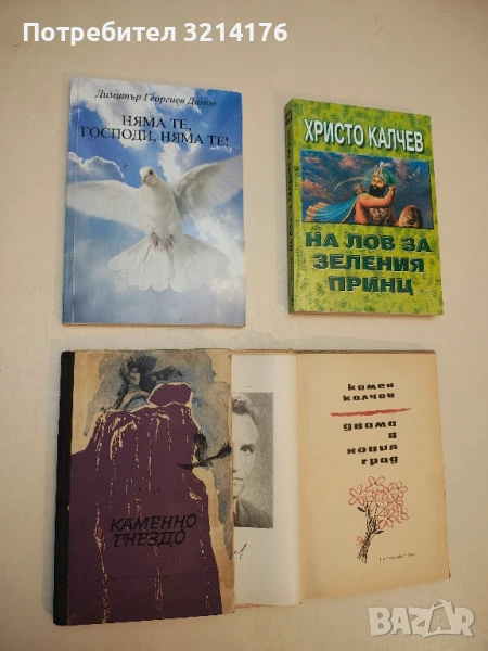 Каменно гнездо - Димитър Мантов, снимка 1