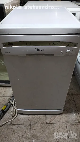 миялна мидея, снимка 1