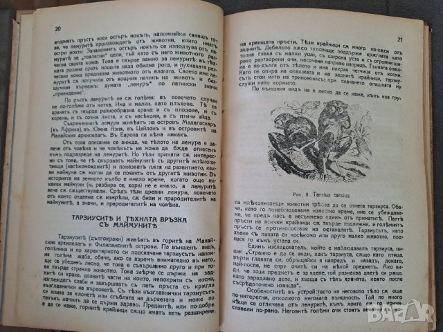 Стара книга Произходъ на човека Проф.М.А.Гремяцки, снимка 3 - Антикварни и старинни предмети - 42402753