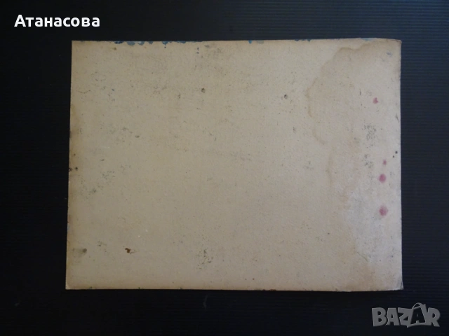 ТАНЯ ТАНЧЕВА картина Натюрморт масло 1990 г #2, снимка 5 - Картини - 54164685