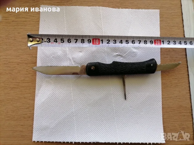 Голяма джобна ножка