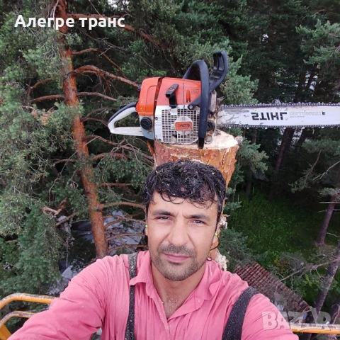 Рязане на дървета Пловдив и околието, снимка 4 - Градинска техника - 53350168